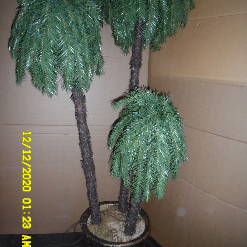 Palm Christmas Tree